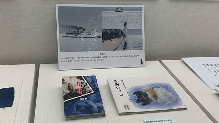 クロの作品
