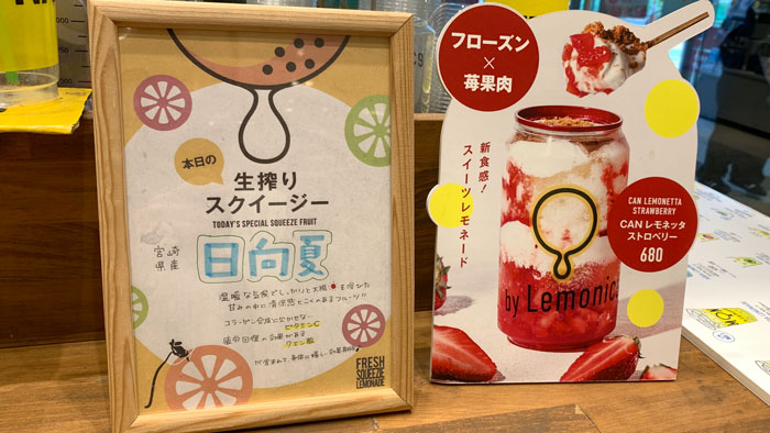 本日のメニュー・期間限定メニュー