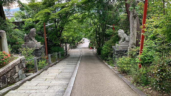 境内:振り返った階段
