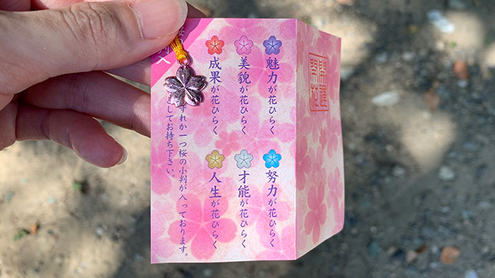 桜の小判(チャーム)