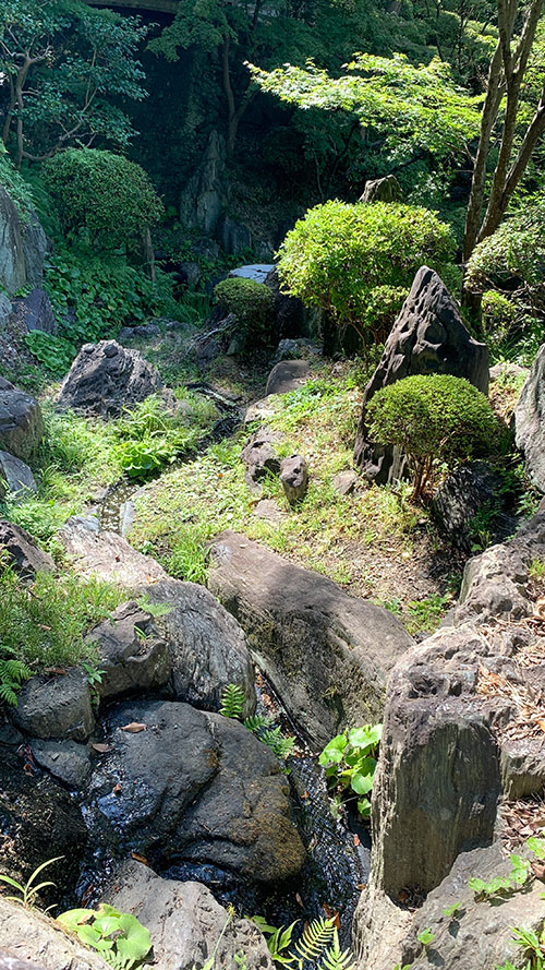 西之丸庭園:風景1