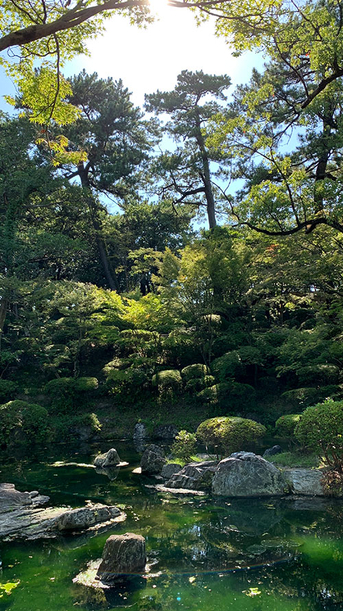 西之丸庭園:風景5