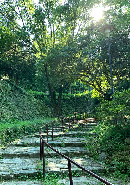 風景2