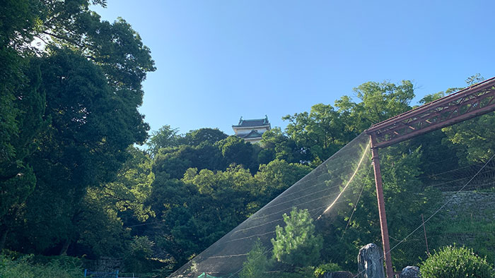 和歌山お城動物園:和歌山城がひょっこり