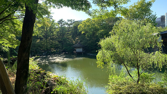 風景6